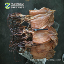 Dried squid, Sundried illex squid price